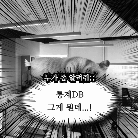 통계카드뉴스10월